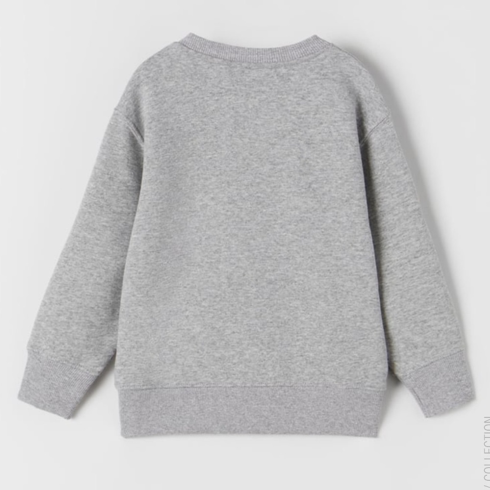 Zara Embroidered Sweatshirt - Picture 2 of 5